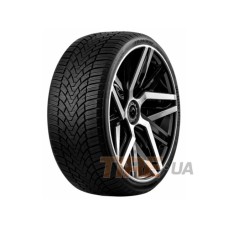 Fronway IceMaster I 205/55 R17 95H XL