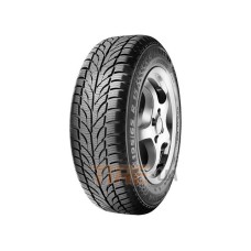 Paxaro Winter 175/65 R14 82T