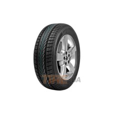Point S Winterstar 4 205/60 R16 96H XL