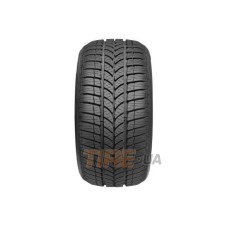 Taurus 601 Winter 165/65 R14 79T